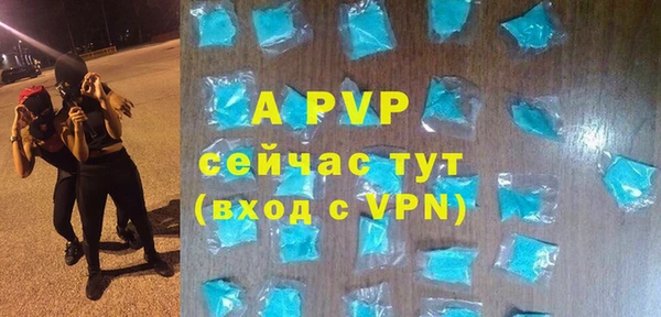 сатива Покачи
