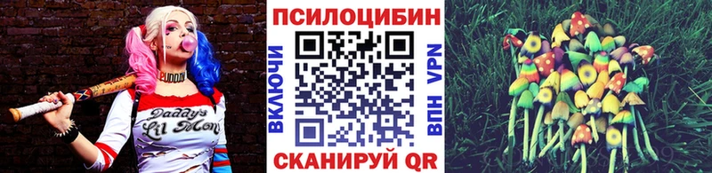 где купить наркоту  Кандалакша  маркетплейс наркотические препараты  Галлюциногенные грибы Psilocybe 