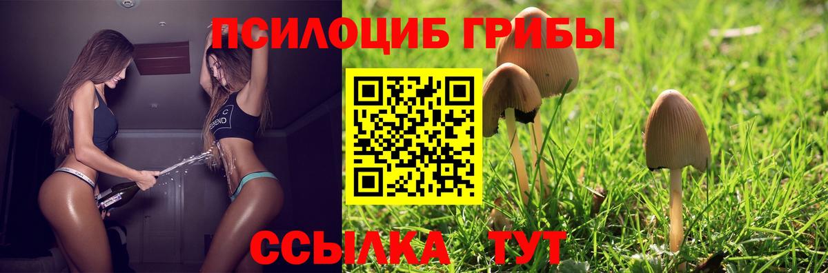 Галлюциногенные грибы прущие грибы Кандалакша