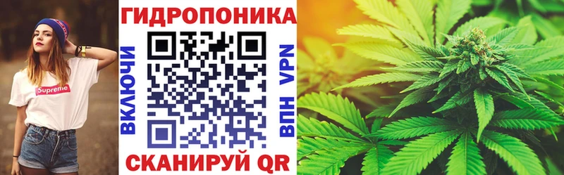 Конопля конопля  магазин продажи наркотиков  Кандалакша 